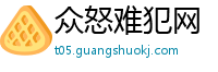 众怒难犯网